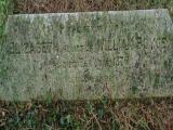 image of grave number 819824